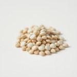 Black Morning Glory Seeds