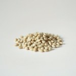 Saudi Mint Seeds
