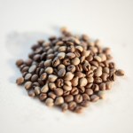 Passion Flower Seeds (Passiflora)