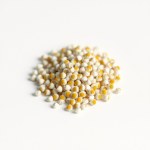 English Daisy Seeds (Bellis perennis)
