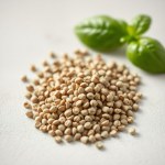 Red Basil Seeds F1 (10 Seeds) Imported