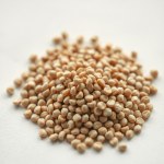 Kokia (Angel's Broom) Seeds for Home Gardening