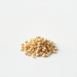 Carnation Seeds