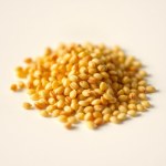 Gaillardia (Blanket Flower) Seeds