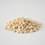Malva Seeds