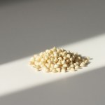 Silene Seeds