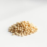 Chrysanthemum (Daisy) Seeds