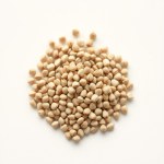 Stock Flower (Matthiola) Seeds