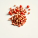 Imported Cherry Tomato Seeds (5 Seeds)