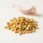 Green Bell Pepper Seeds