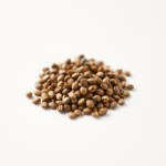 Mixed Color Pepper Seeds (20 Seeds)