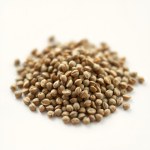 Imported Melissa Balm Seeds (20 Seeds)