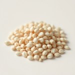 White Eggplant F1 Seeds 20