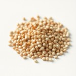 Leek Seeds for Home Gardening