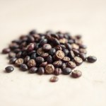 بذور باذنجان عروس