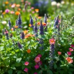 Balcony Aromatic Plants Cultivation Kit (Lavender - Mint - Basil - Thyme - Marjoram)