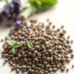 Balcony Aromatic Plants Cultivation Kit (Lavender - Mint - Basil - Thyme - Marjoram)