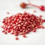 Red Radish 25g
