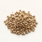 بذور بردقوش نبات عطري