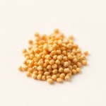 Yellow Carrot Seeds