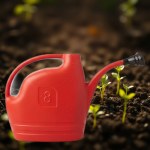 8L Garden Watering Can – Red
