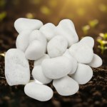 Decorative Stones for Aquariums and Gardens (1kg)