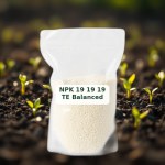 سماد NPK 19-19-19 TE متوازن 1000 جرام