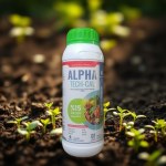 Protective Shield Coating (1L)