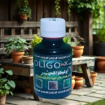 إكسير النمو والحيوية من مستخلص الطحالب Oligo – x