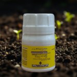 Imidacloprid Super 35% Systemic Insecticide Concentrate