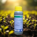Herbicide Bazgran 48% SC (500ml)