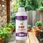 فوسفات ثنائي البوتاسيوم عالي النقاء (DKP) 1 لتر