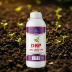 فوسفات ثنائي البوتاسيوم عالي النقاء (DKP) 1 لتر