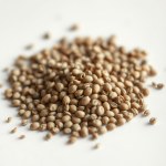 Root and Seed Fungicide 50% - 100g