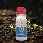 مبيد ستار الحشري SC للحشرات الزاحفة وبق الفراش (100 سم)