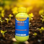 Soil Sterilant 50% EC (500 ml)