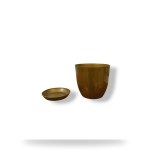 Decorative Planter 17 cm with Tray (Golden)