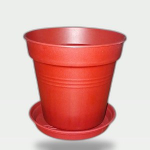 Plastic Planter 11 cm with Self-Draining Saucer (Tobee)