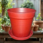 Plastic Planter 11 cm with Self-Draining Saucer (Tobee)