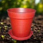 Plastic Planter 11 cm with Self-Draining Saucer (Tobee)