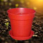Plastic Planter 11 cm with Self-Draining Saucer