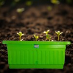 Planter Box Khorshid 40x20cm Green