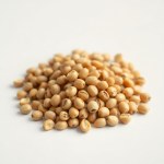 Japanese Papaya Seeds (5 seeds)