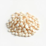 White Italian (Rumi) Eggplant Seeds