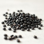 بذور الباذنجان الرومي الأسود (Black Baladi Eggplant Seeds)