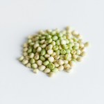 بذور البامية الخضراء الطويلة (Long Green Okra Seeds)