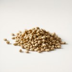 Marjoram Seeds