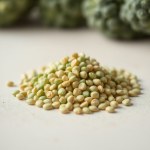 Broccoli Seeds for Planting