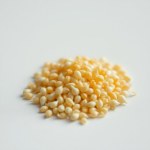 بذور البصل الأصفر (Yellow Onion Seeds)