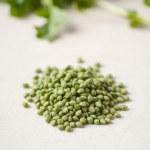 Local Arugula Seeds